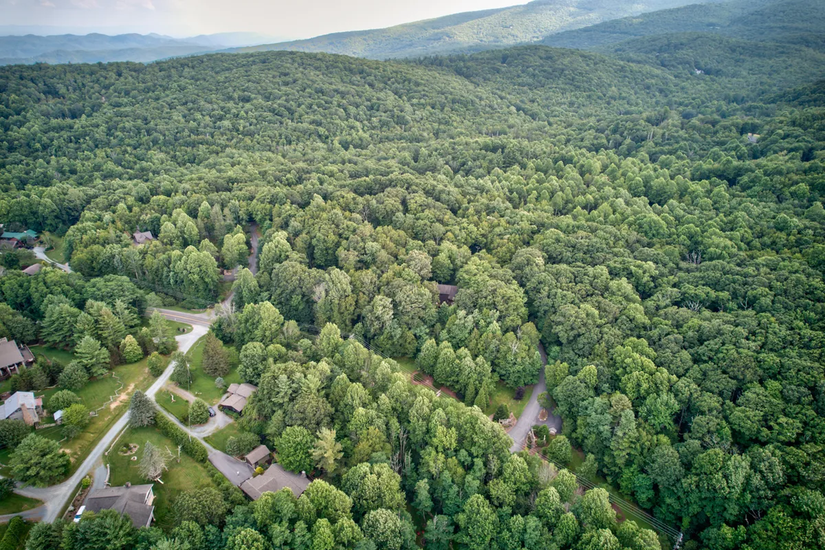 A scenic view of expansive forest with winding roads and scattered houses, evoking a sense of adventure and proximity to nature trails and hiking paths.